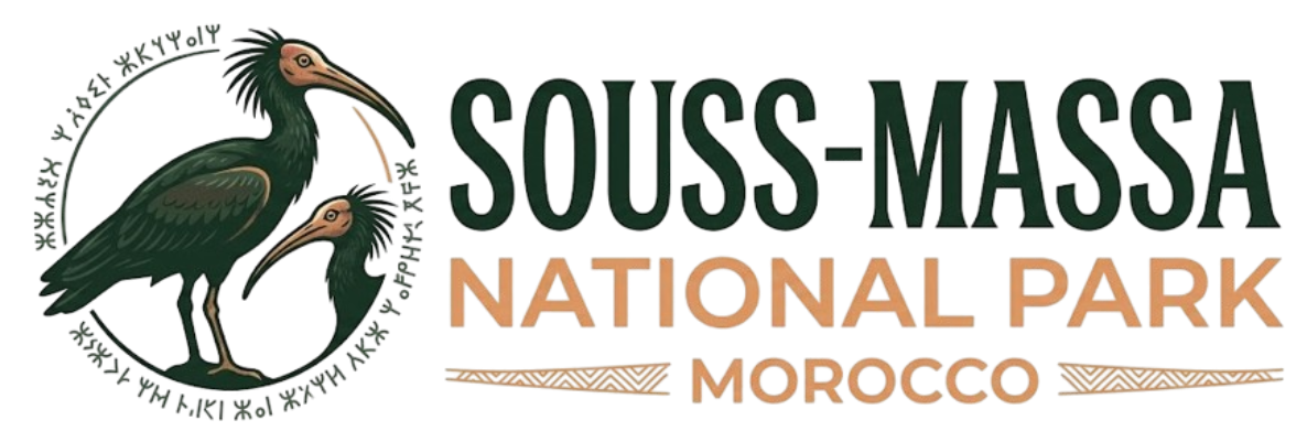 Souss-Massa National Park | Official Visitor Guide
