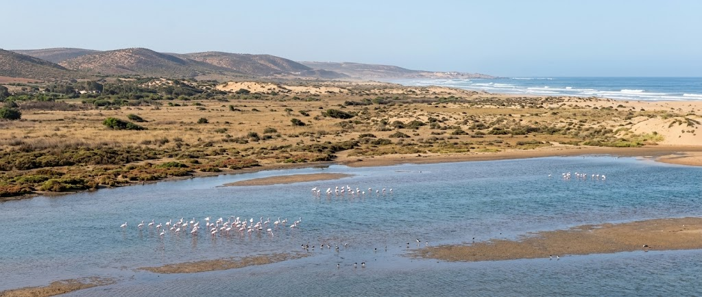 Wide view of the Oued Massa estuary and steppe at Souss Massa National Park